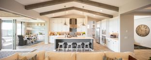 Charm - Elegance at Eastmark: Mesa, Arizona - Woodside Homes