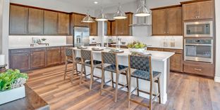 Goldfinch - Palo Verde at North Creek: Queen Creek, Arizona - Woodside Homes
