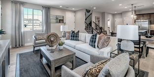 Townlet (Loop) - Ironwood Villages at North Creek: Queen Creek, Arizona - Woodside Homes