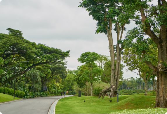Community Image 