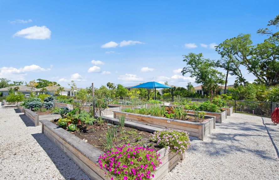 Community Garden