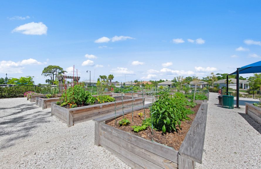 Community Garden