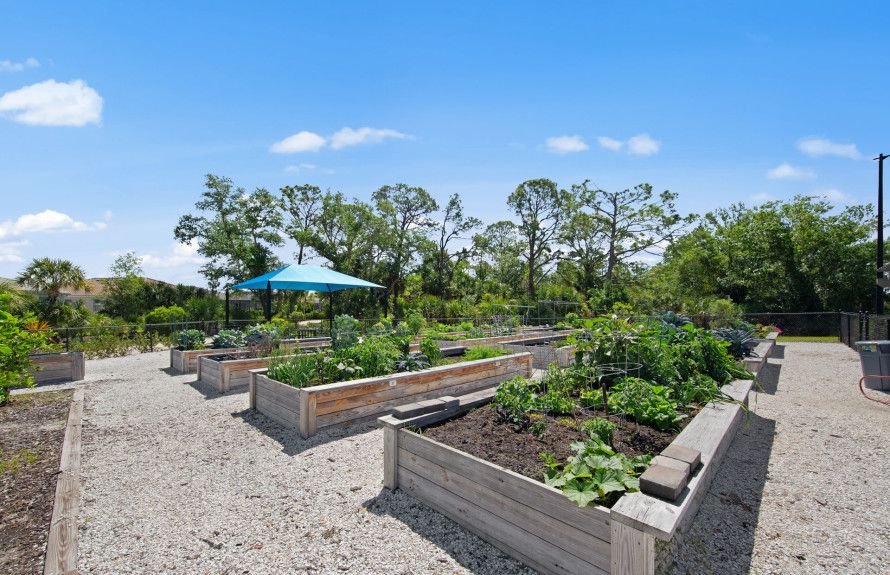 Community Garden