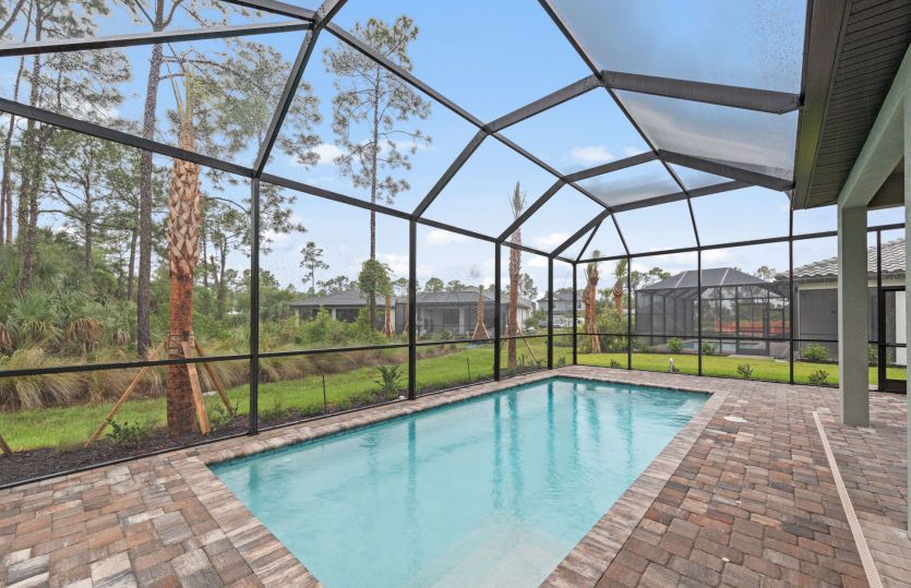 Screened-in pool