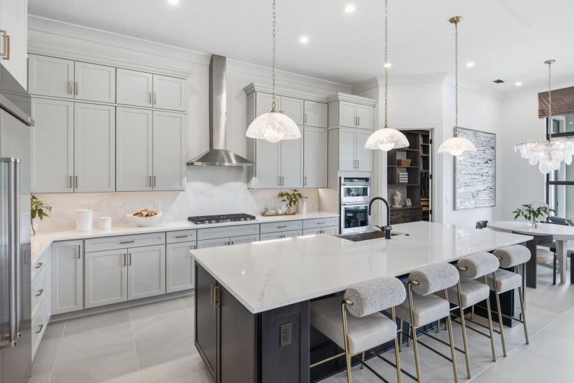 Pro-Series Kitchen with Designer Finishes