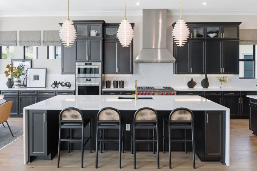 Designer Kitchen