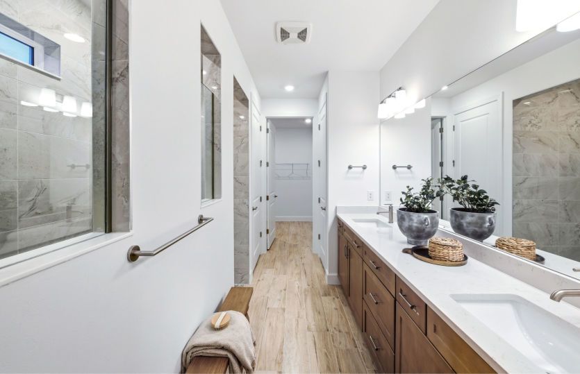 Owner's bathroom