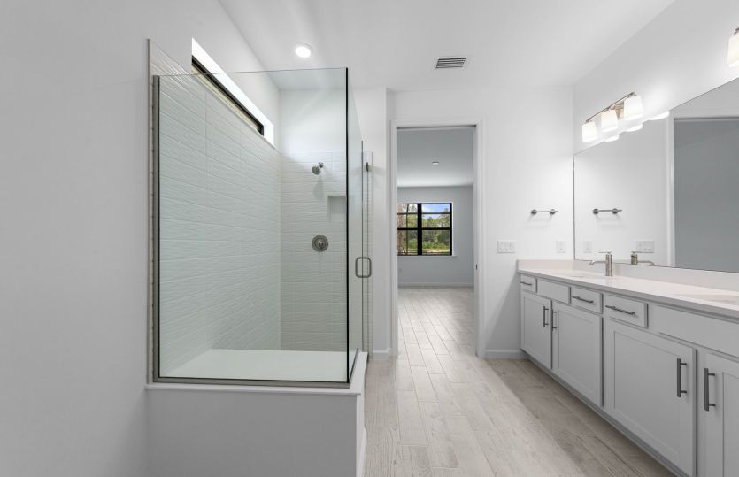 Owner's bathroom