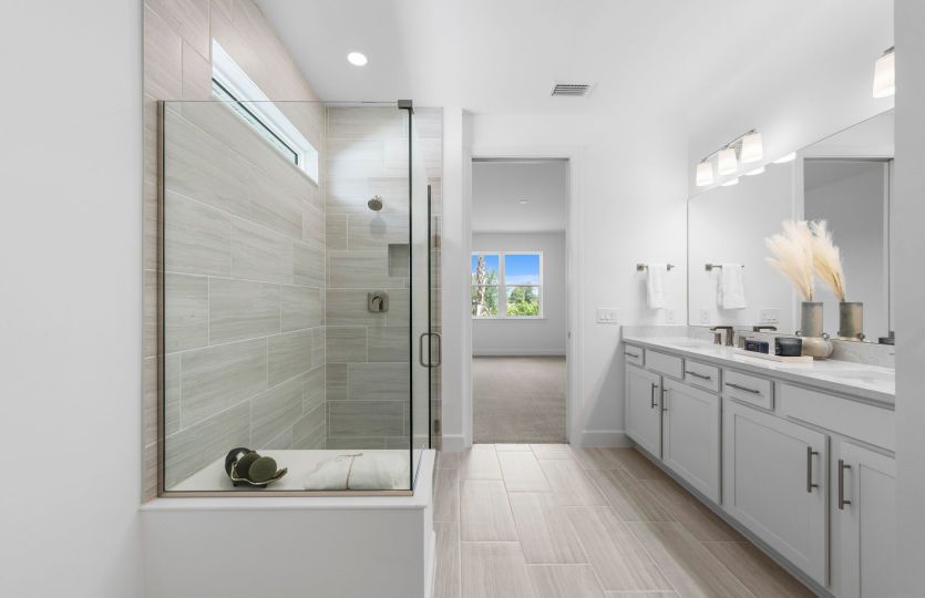 Owner's bathroom
