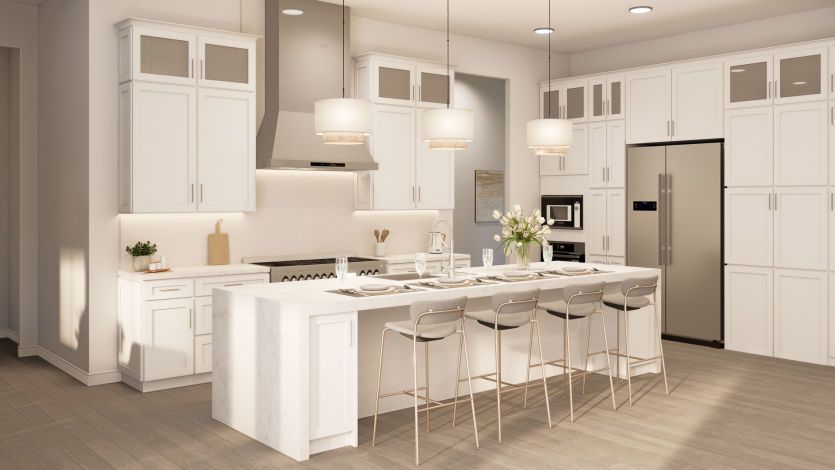 Artist's Rendering of Kitchen