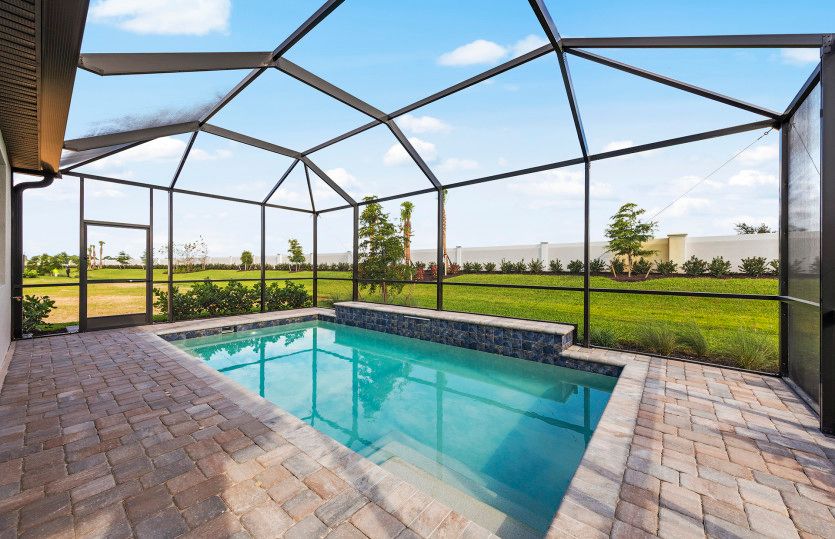 Pool with screened-in cage