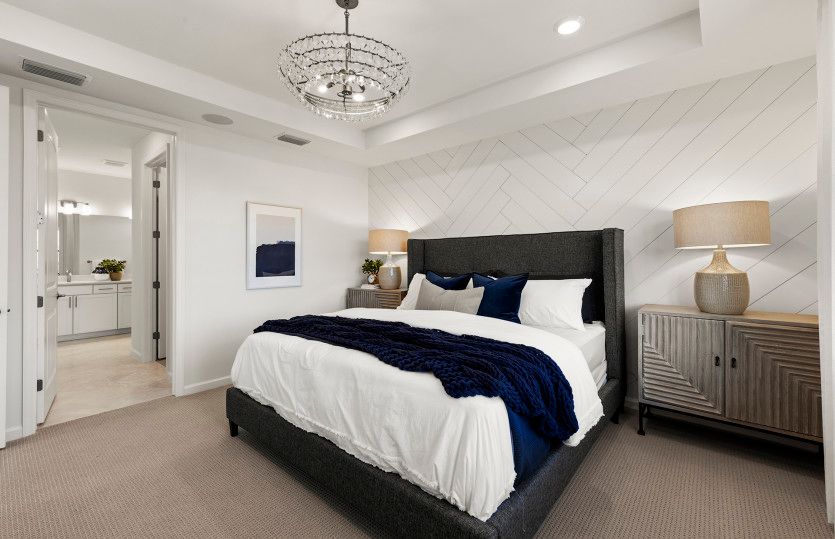 Spacious owner's suite with tray ceiling