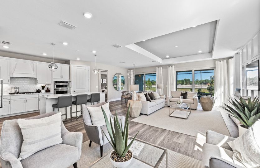 Connected living and dining spaces
