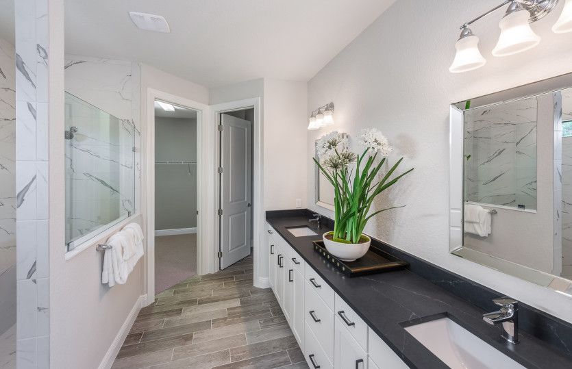 Owner's Bathroom