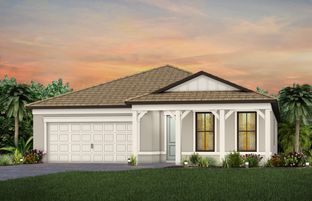 Palmary - Terreno: Naples, Florida - DiVosta Homes