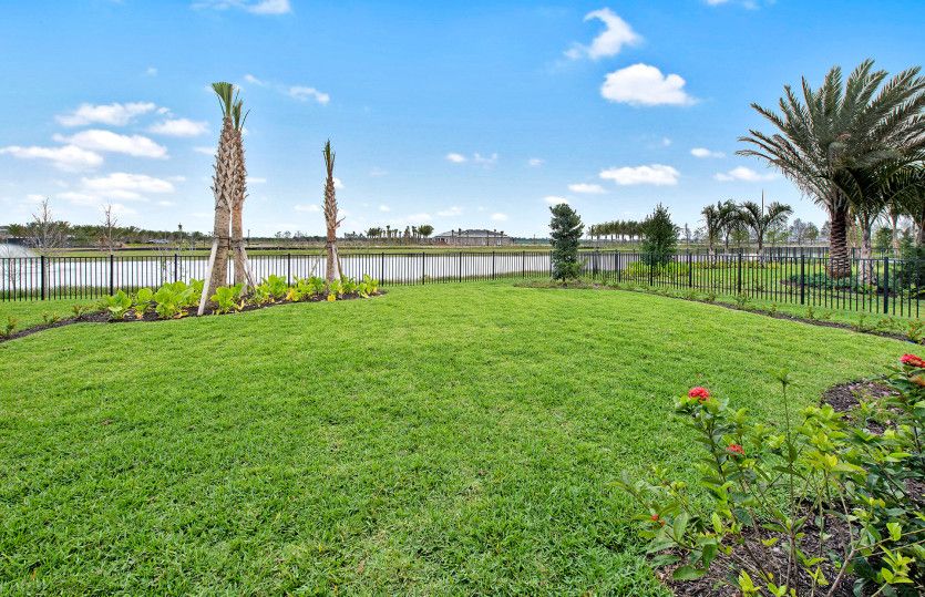 Large Backyard
