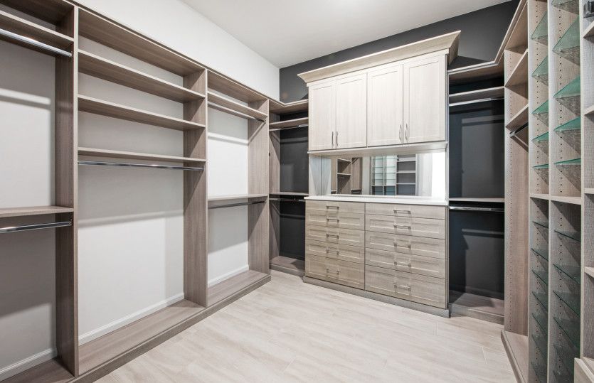 Owner's Walk-In Closet