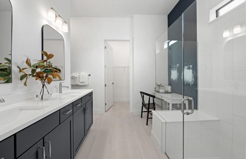 Elegant owner's bathroom