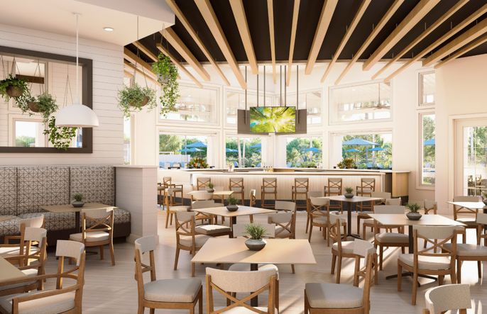 Conceptual Rendering