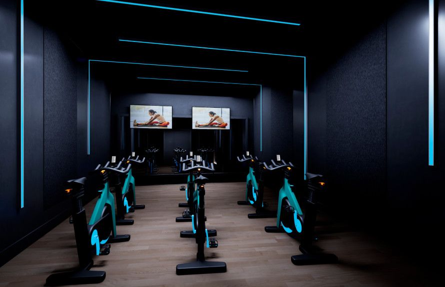 Conceptual Rendering