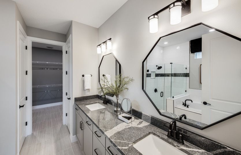 Designer Bathroom