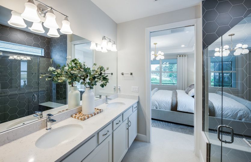 Owner's Bath