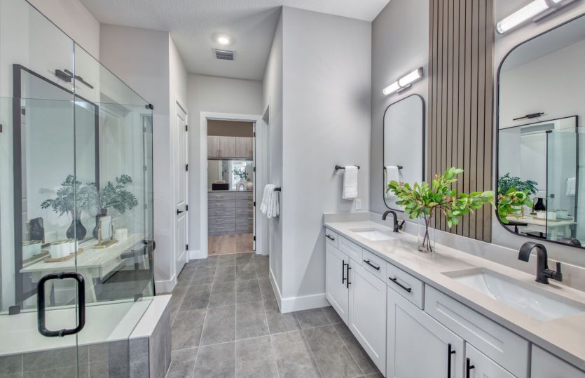 Luxurious Owner's Bathroom