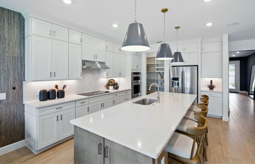 Designer Kitchen