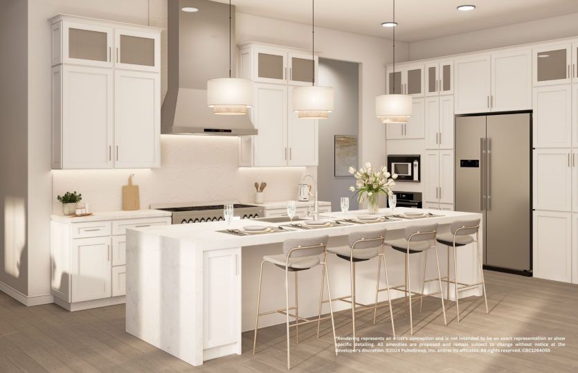 Artist's Renderings of Kitchen