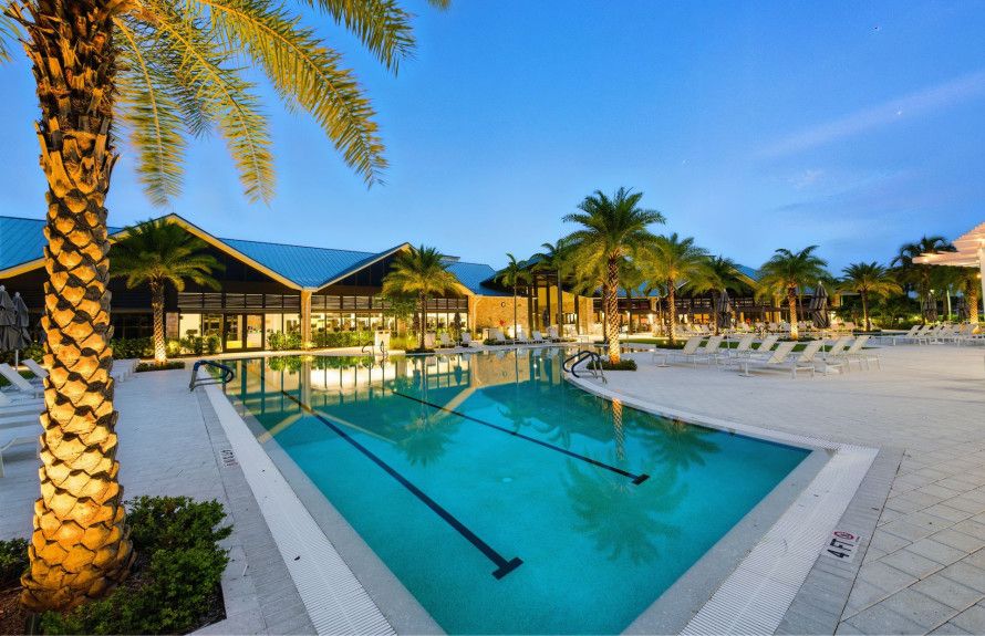 Lounge, Lap, & Luxury Life