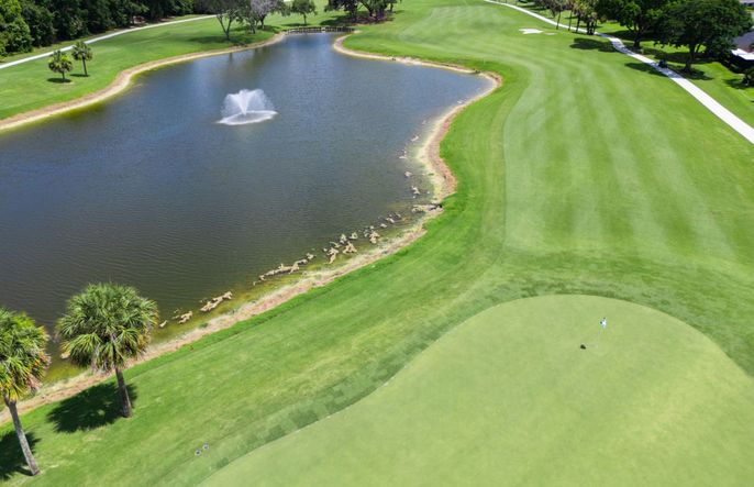 Championship Golf Courses