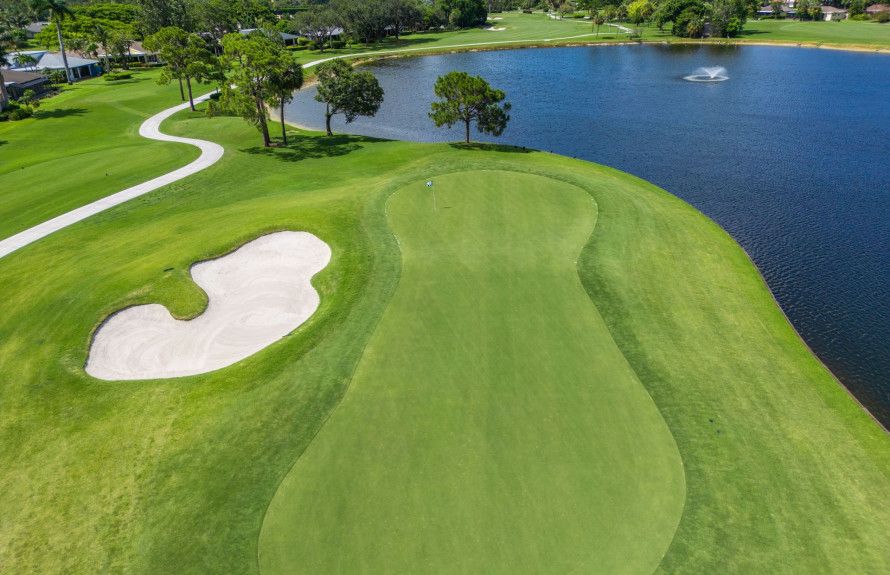 Your New Favorite Course