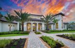 Terreno - Naples, FL