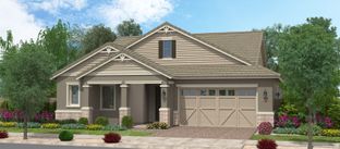 Sequoia - Groves at Barney Farms: Queen Creek, Arizona - Fulton Homes