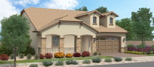 Acacia w/Loft - Groves at Barney Farms: Queen Creek, Arizona - Fulton Homes