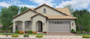 Live Oak w/Loft - Groves at Barney Farms: Queen Creek, Arizona - Fulton Homes