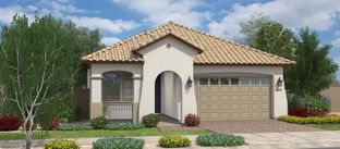 Alpine - Meadows at Barney Farms: Queen Creek, Arizona - Fulton Homes