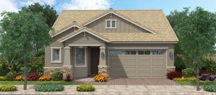 Coastal - Meadows at Barney Farms: Queen Creek, Arizona - Fulton Homes