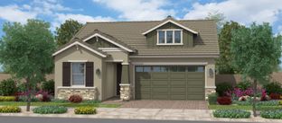 Prairie - Meadows at Barney Farms: Queen Creek, Arizona - Fulton Homes