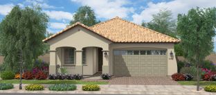 Seagrass - Meadows at Barney Farms: Queen Creek, Arizona - Fulton Homes