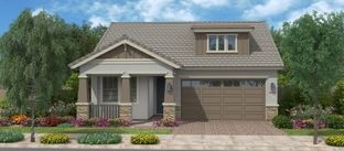 Seagrass - Meadows at Barney Farms: Queen Creek, Arizona - Fulton Homes