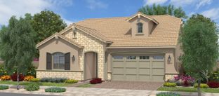 Avocado - Orchard at Barney Farms: Queen Creek, Arizona - Fulton Homes