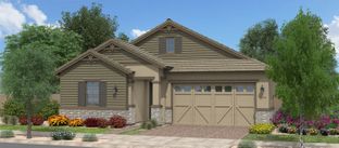 Avocado - Orchard at Barney Farms: Queen Creek, Arizona - Fulton Homes