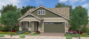 Mango - Orchard at Barney Farms: Queen Creek, Arizona - Fulton Homes
