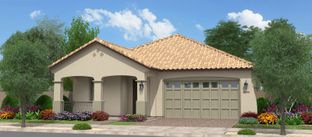 Tamarillo - Orchard at Barney Farms: Queen Creek, Arizona - Fulton Homes