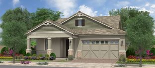 Tamarillo - Orchard at Barney Farms: Queen Creek, Arizona - Fulton Homes