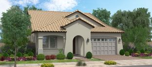 Guava w/Loft - Orchard at Barney Farms: Queen Creek, Arizona - Fulton Homes
