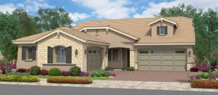 Bamboo - Fields at Barney Farms: Queen Creek, Arizona - Fulton Homes