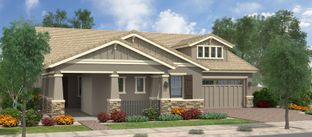 Monterey Pine - Fields at Barney Farms: Queen Creek, Arizona - Fulton Homes