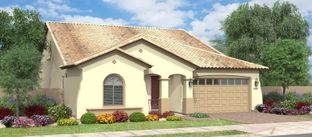 Pelican Bay w/Loft - North Shore at Escalante: Surprise, Arizona - Fulton Homes